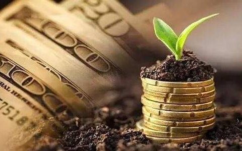 新加坡期货杠杆率解析：高杠杆风险知多少？