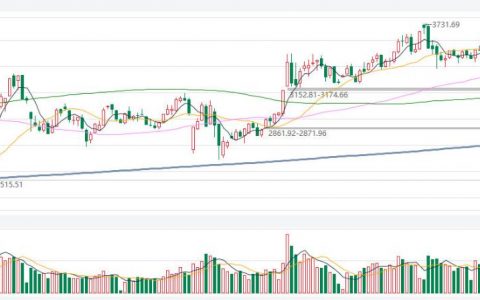 期货竞价参与指南：交易规则详解