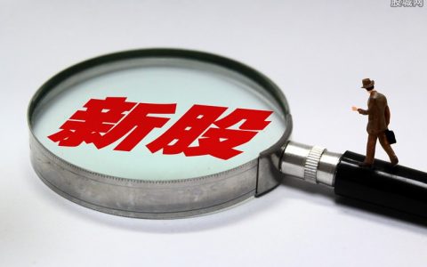 鸡蛋期货市场是哪里？